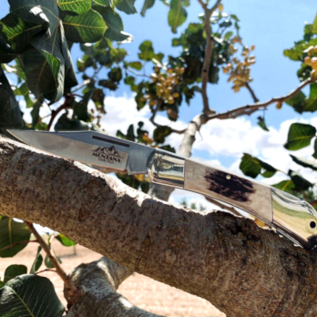 Exclusivos de Don Filo Exclusivos de Don Filo